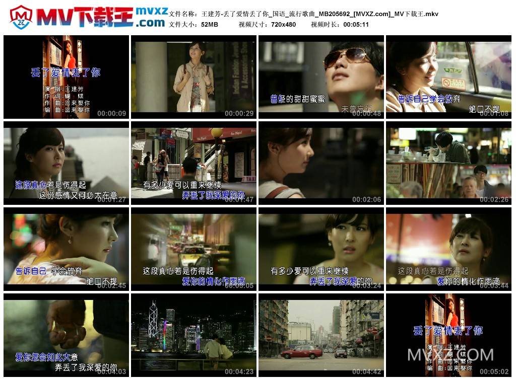 王建芳-丢了爱情丢了你_国语_流行歌曲_MB205692